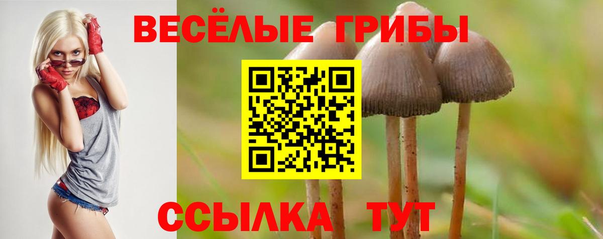 Псилоцибиновые грибы GOLDEN TEACHER  Псилоцибиновые грибы ЛСД  Вход с VPN  Каменск-Уральский 